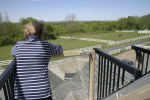 Looking to the west from observation deck